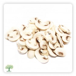 WADINA, Konservierter Pilz Scheiben 6×2,800g