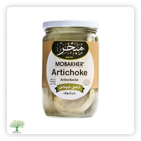 مبخر ,ارضي شوكي, مطربان زجاج 12×660غ