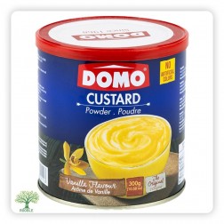 DOMO, Vanellacustard (Süßspeise), 12×300g