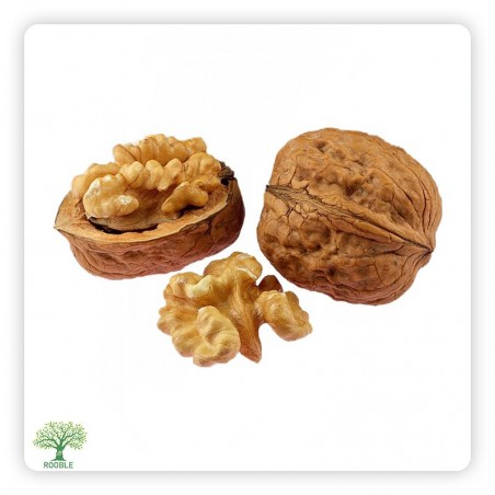 walnut whole kernels, 1×11,340g