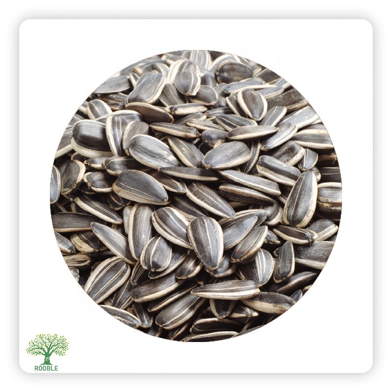 Hamada, sunflower seeds, 1×5,000g