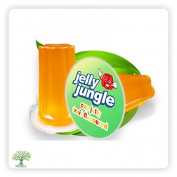 JELLY JUNGLE, Kid's Joy Jelly V.Fruchte, 12×(12×75ml)