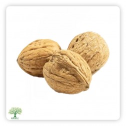 Whole Kernel American Walnuts, 1×10,000g