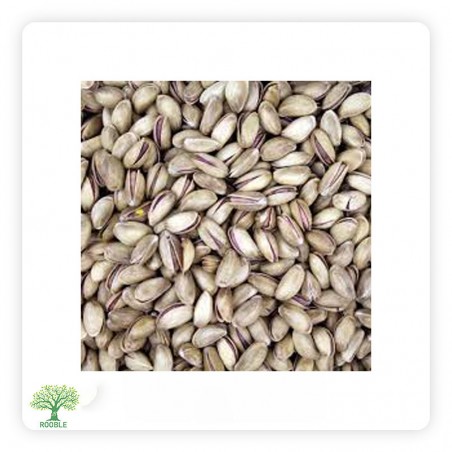 كيفسر, فستق حلبي محمص, تركي, 1×10,000غ
