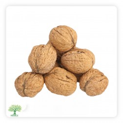جوز حبة كاملة, امريكي 1×12,500غ