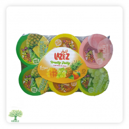 LAZEZ, Frucht Geschmack Wackelpudding, 12×(6×100ml)
