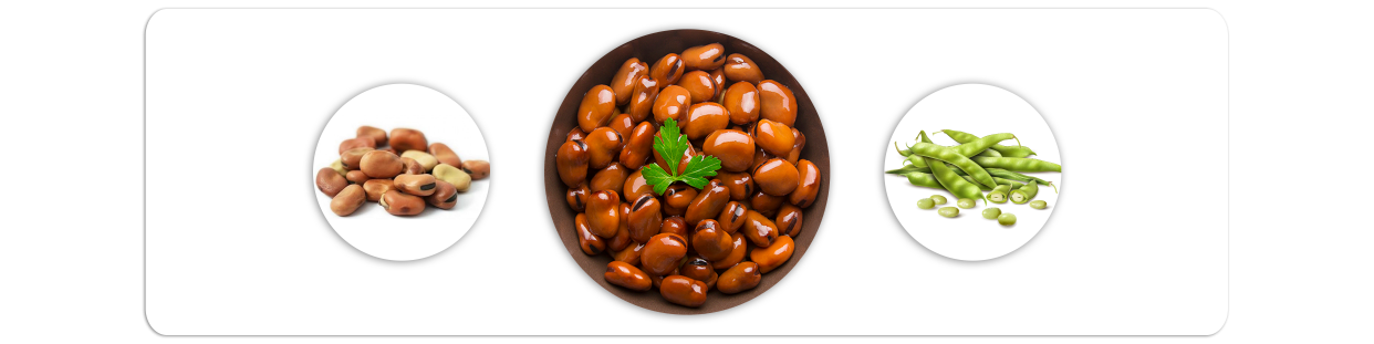 Canned beans