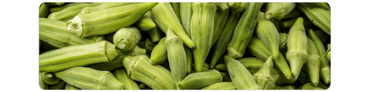 Canned Okra