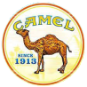 Camel Amba