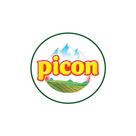 picon